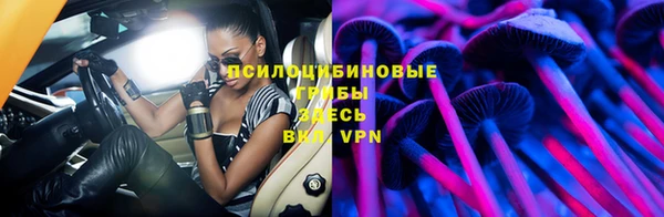 крисы Пестово