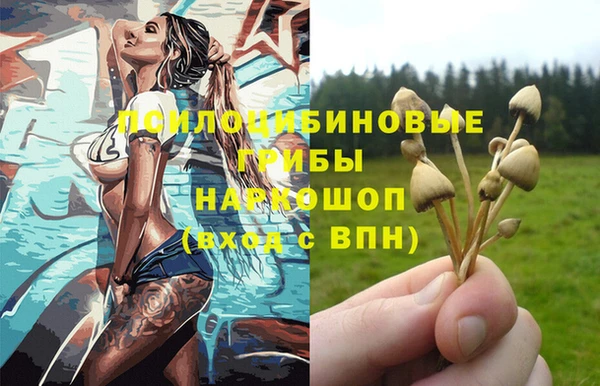 прущие крисы Переславль-Залесский
