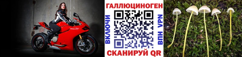 ОМГ ОМГ вход Трубчевск Галлюциногенные грибы MAGIC MUSHROOMS