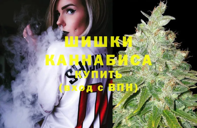 Бошки Шишки Amnesia  Трубчевск 